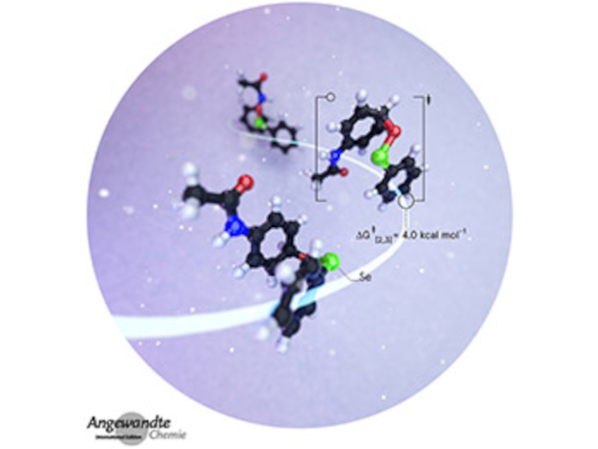 Angewandte Chemie 25/2021: Dynamic Networks