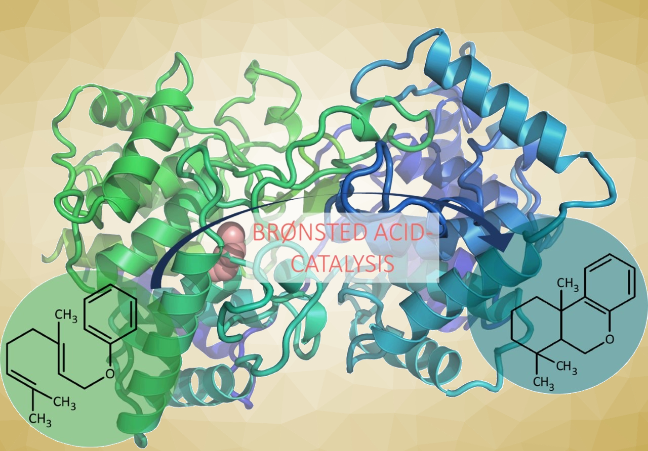 Enzymatic Friedel-Crafts Alkylations