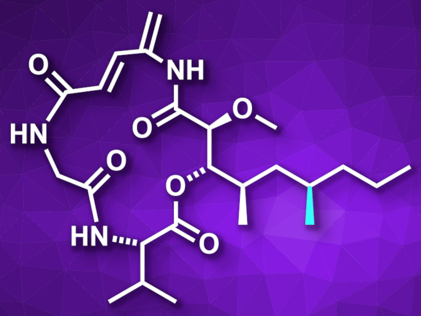 Total Synthesis of Boholamide A