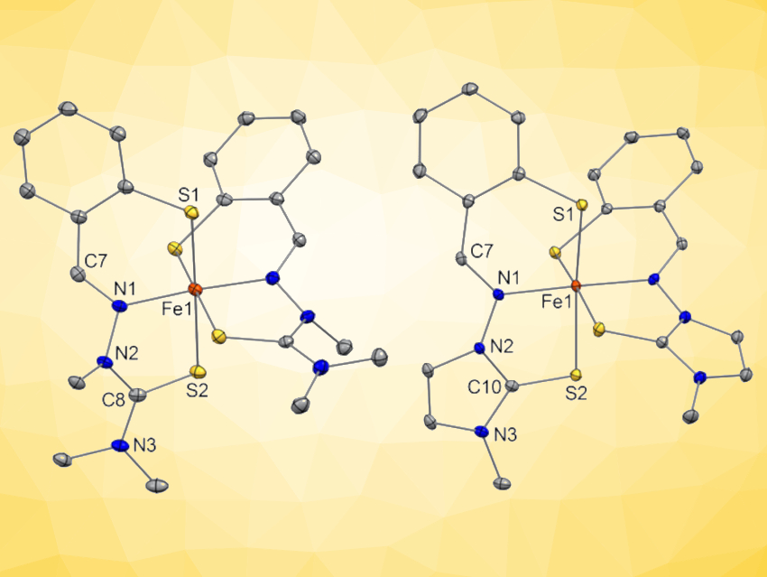 Teaming Up to Target Iron in Cancer Cells