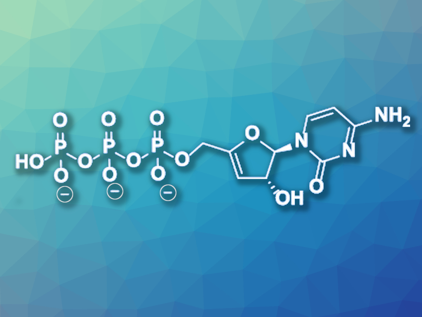 Synthesis of the Antiviral Nucleotide Analogue ddhCTP