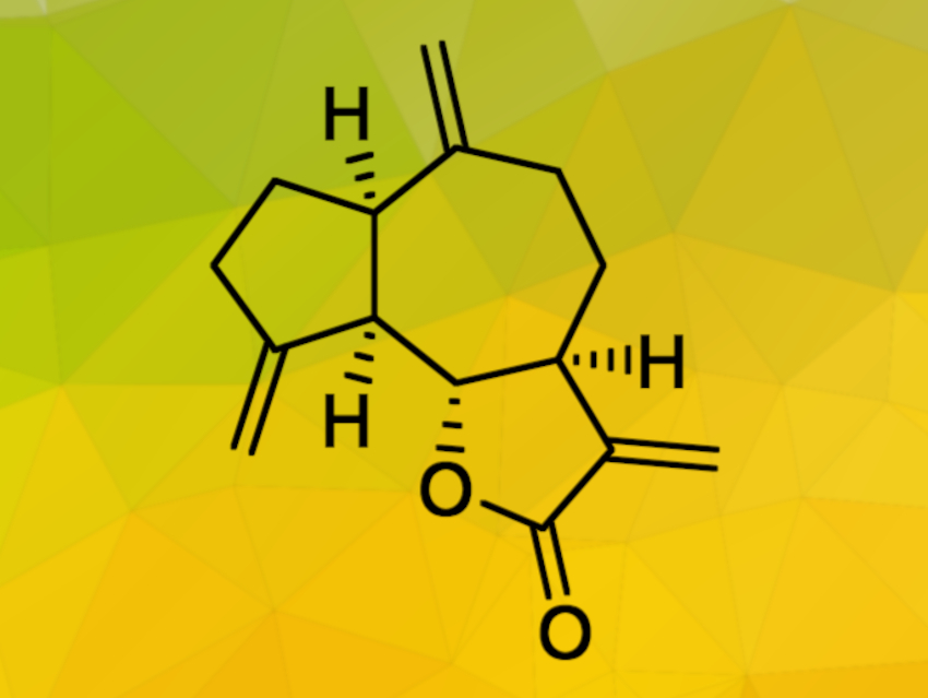 Asymmetric Total Synthesis of (−)‐Dehydrocostus Lactone