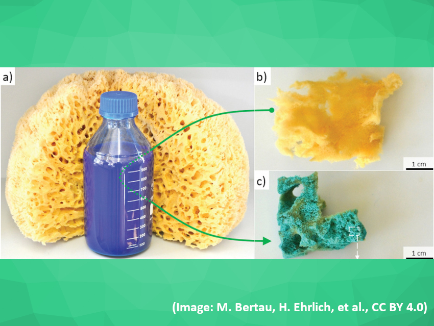 Marine Sponge and Copper-Rich Waste Form Useful Composite
