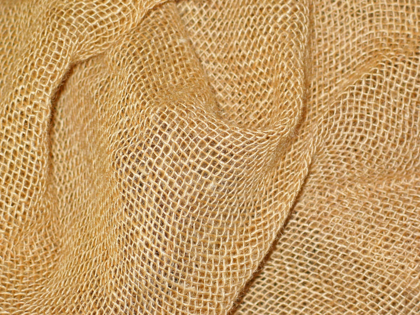 Jute in Nanotechnology Applications