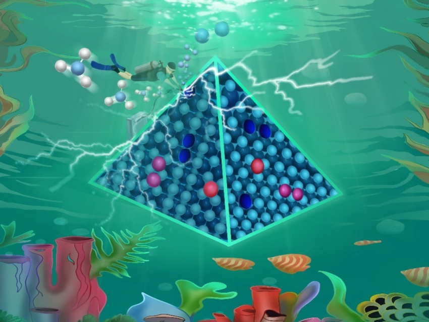 Electrochemical Nitrogen Reduction on Mo5N6