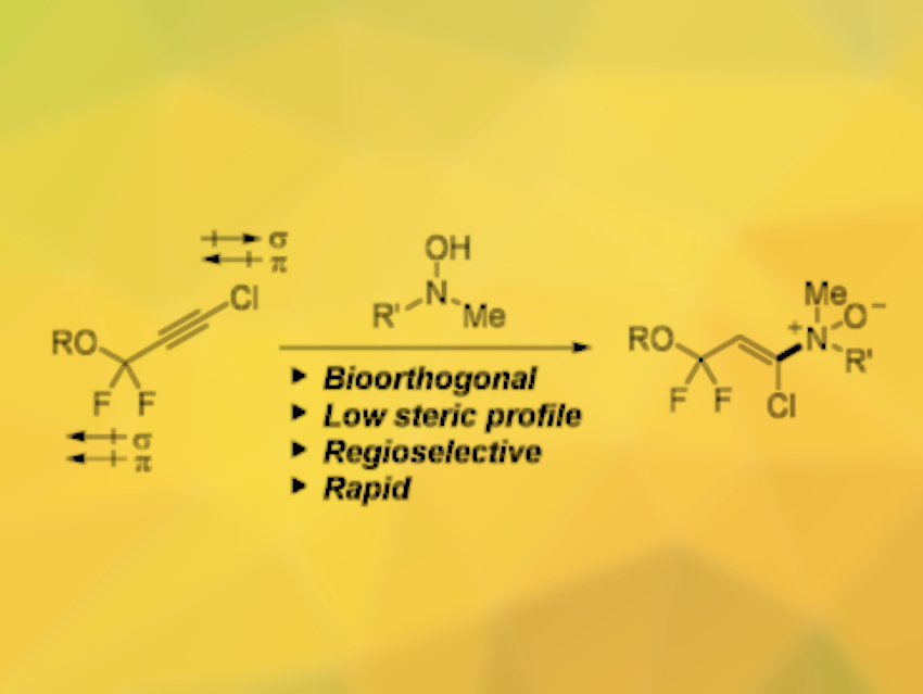 Buttoned Up Biomolecules