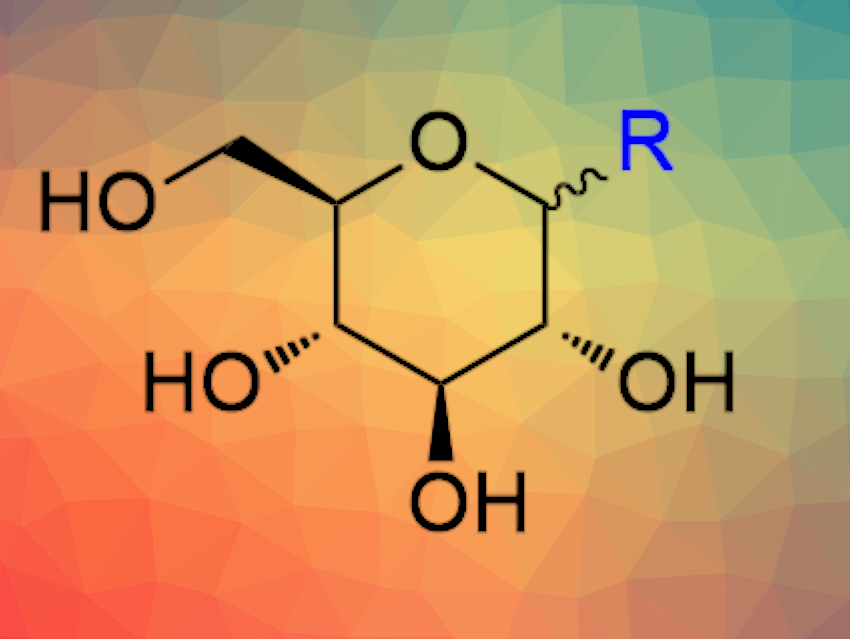 Synthesis of Aryl-C-Glycosides