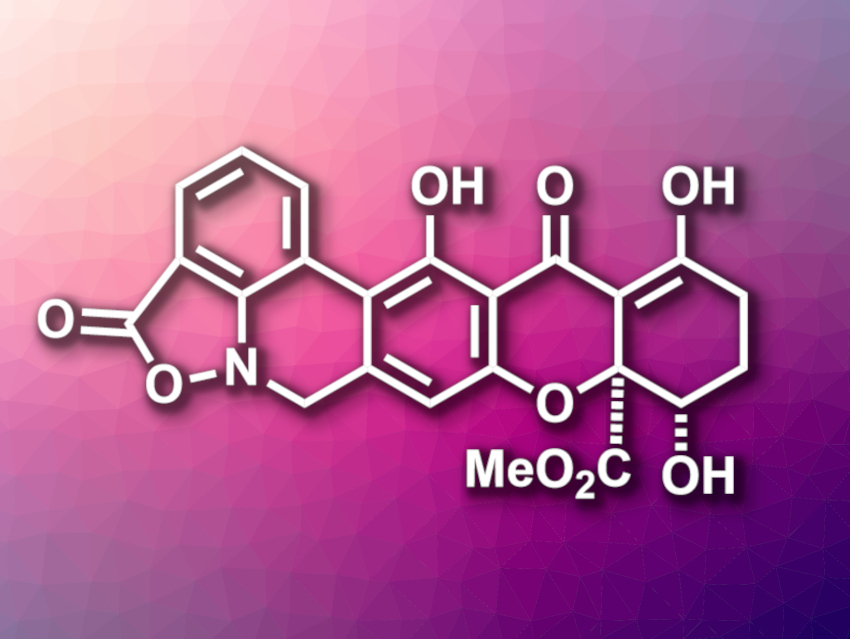 Enantioselective Total Synthesis of Parnafungin A1