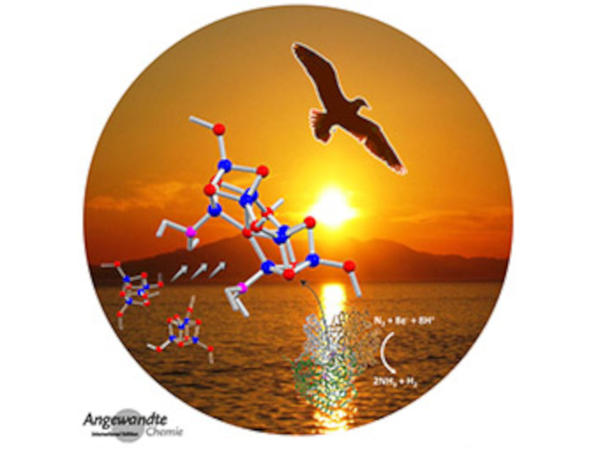 Angewandte Chemie 29/2021: Multistep Procedures