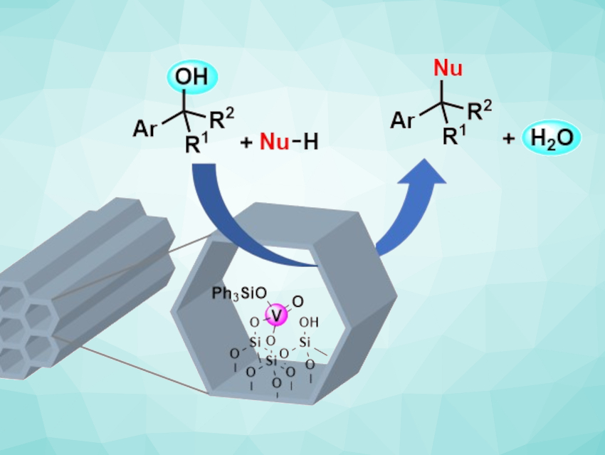 Immobilized Oxovanadium Catalyst for Substitution Reactions