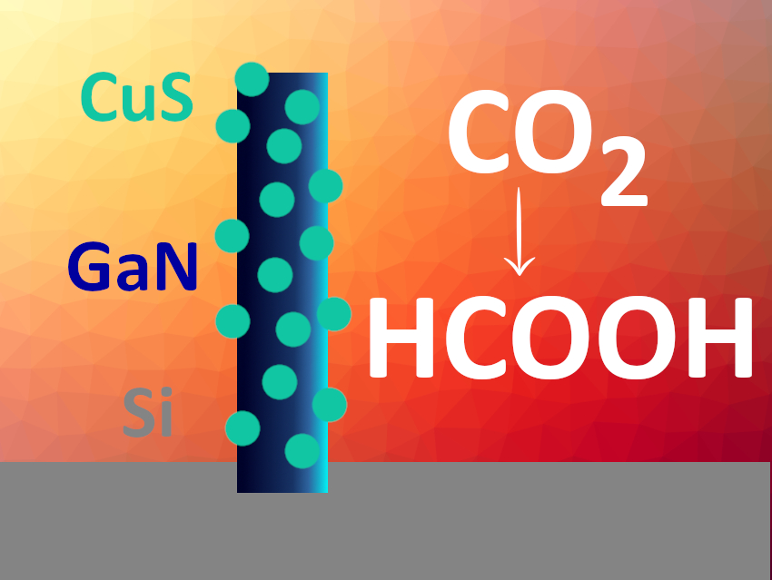 Nanowire Cocatalyst for Converting CO2 to Formic Acid