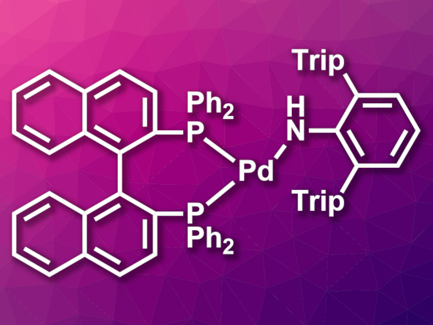 Mononuclear Palladium(I) Amido Complex Isolated