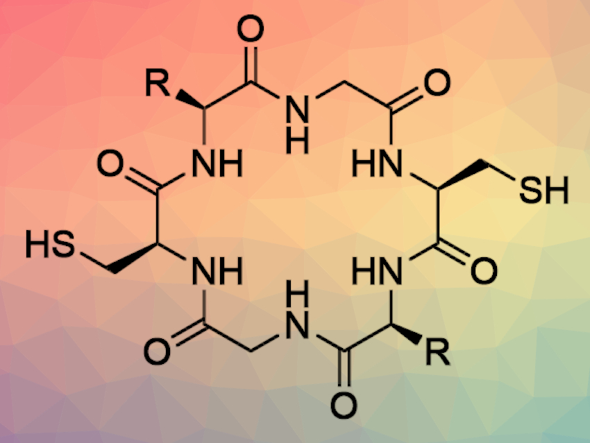 Peptide Cyclooligomerization