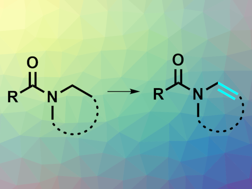 New Method for the Synthesis of Enamides from Amides