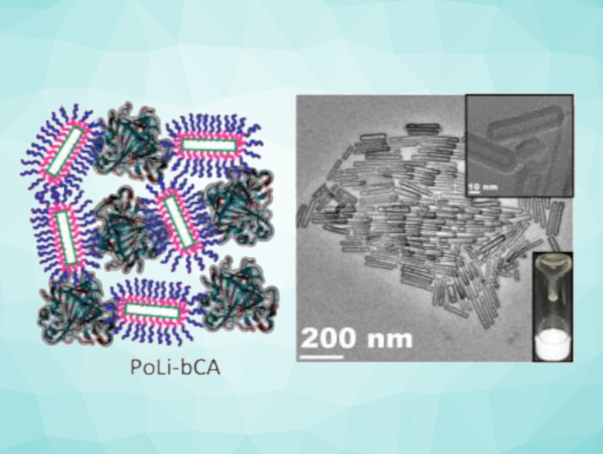 Carbon Mineralization in a Porous Liquid