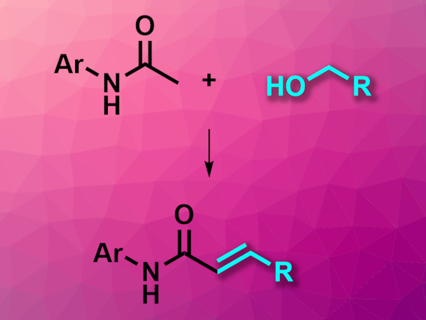 Green α-Alkenylation of Amides