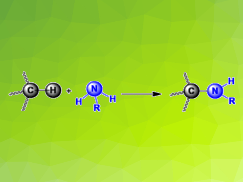 Amidation of Light Alkanes