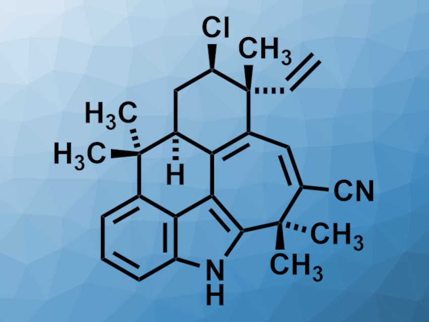 Total Synthesis of (+)-Ambiguine G