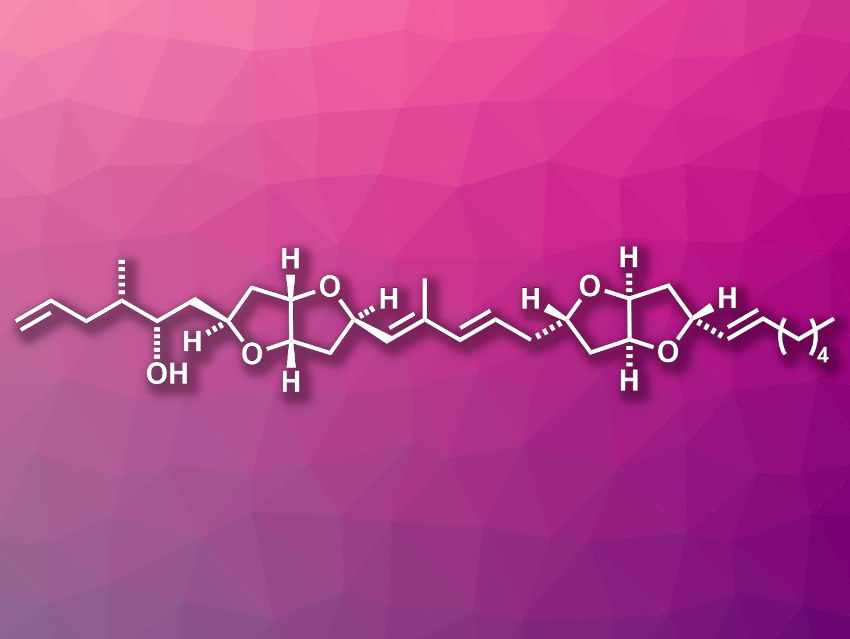 Total Synthesis of Amphirionin-2