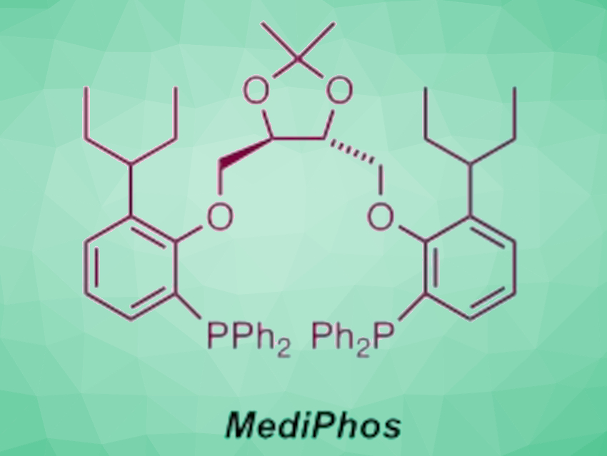 Chiral Ligands for Pd-Catalyzed Asymmetric N-Allylations