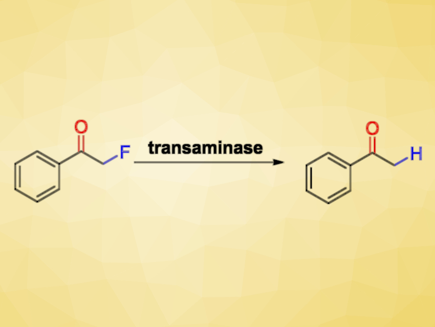 Transaminases Can Also Serve as Hydrodefluorinases