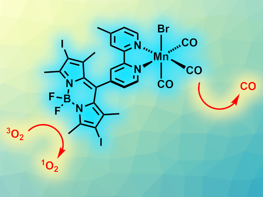 Mn-Based Complex Releases CO and Produces Singlet Oxygen