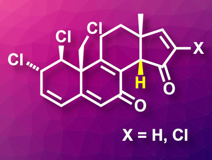 Total Synthesis of Clionastatins A and B