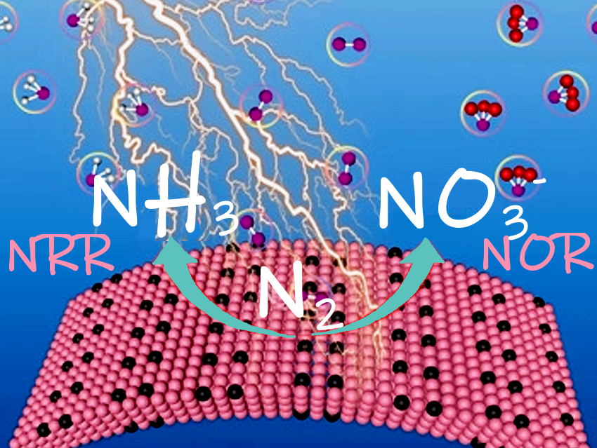 Electrochemical Nitrogen Fixation