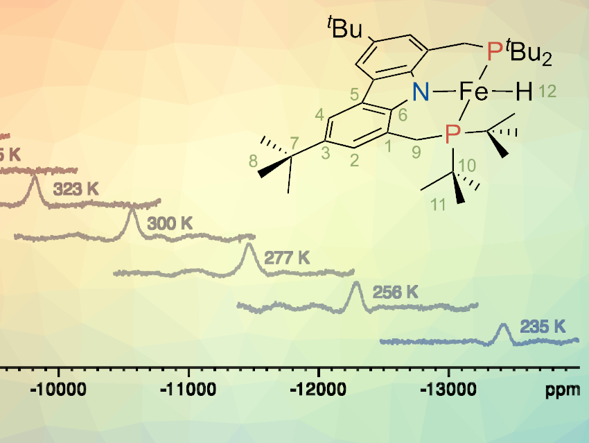 Paramagnetic NMR Signals at Shifts over 10,000 ppm