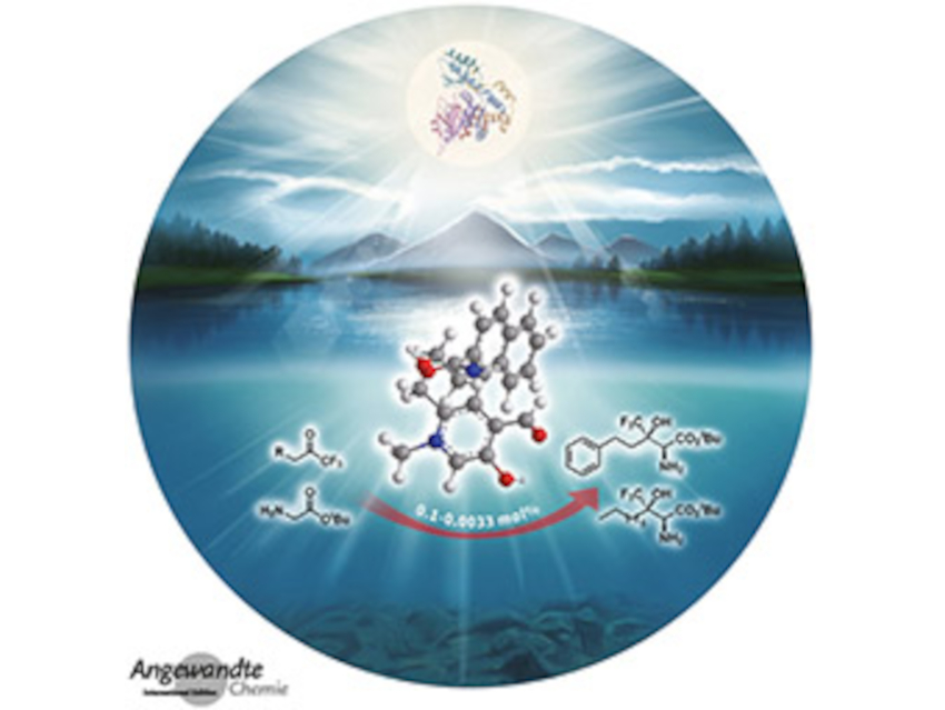 Angewandte Chemie 37/2021 – A Renewable Platform