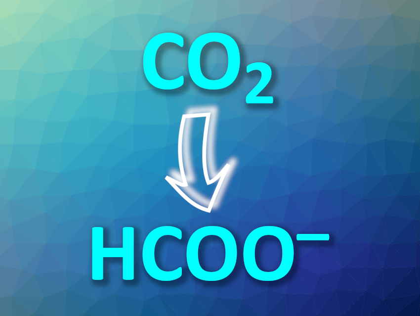 Stable Electrocatalyst for the Reduction of CO2 to Formate
