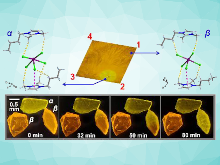 Domino Phase Transition and Luminescence Switching