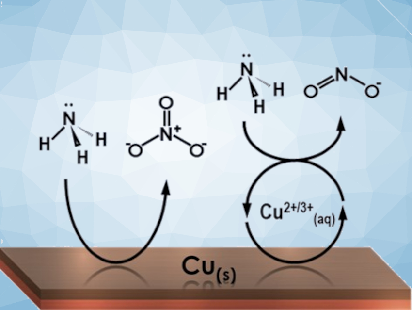 Electrosynthesis of Nitrite and Nitrate from Ammonia