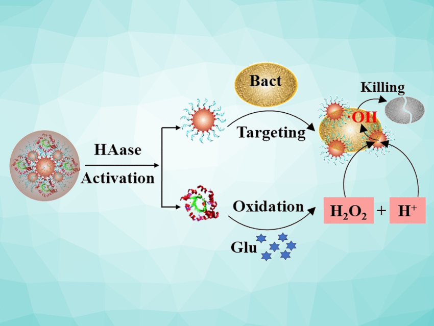 Antibacterial Nanozymes