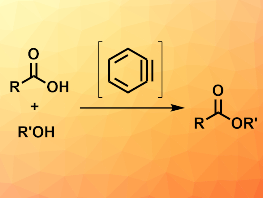 Benzyne-Mediated Esterification