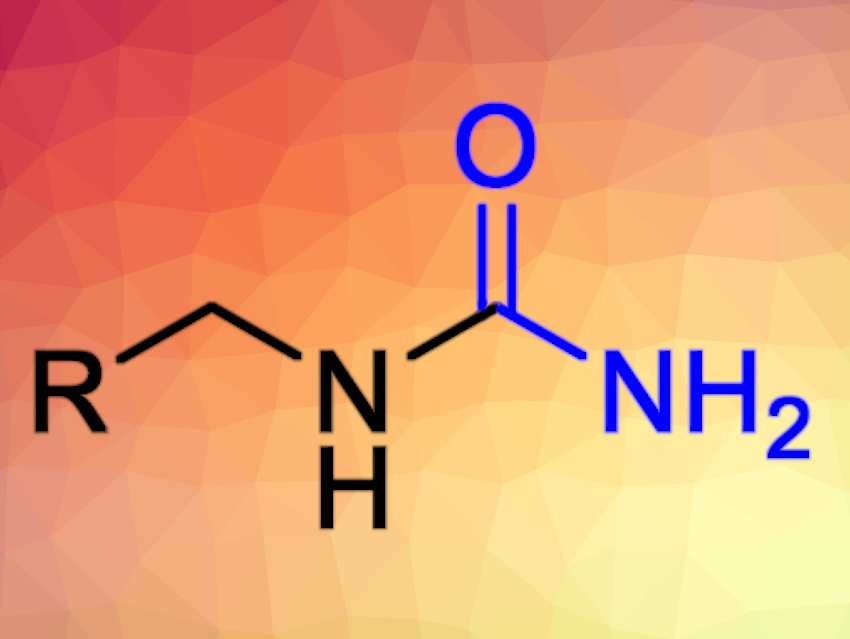 Microwave-Assisted Synthesis of Monosubstituted Ureas