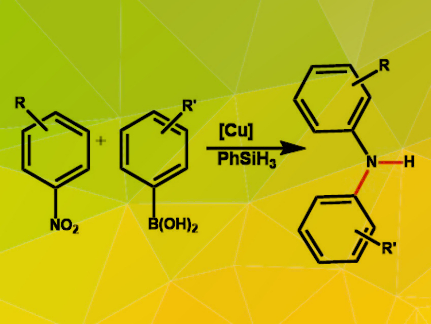 Diarylamines Synthesized via Copper-Catalyzed Cross-Coupling