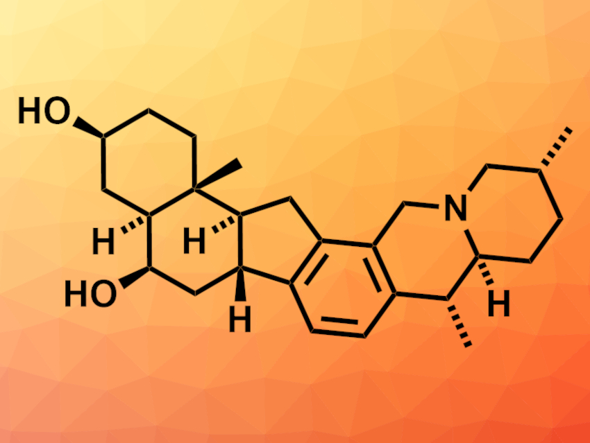 Total Synthesis of (+)-Heilonine