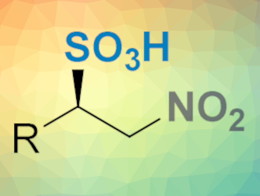 Convenient Path to Chiral Sulfonic Acids