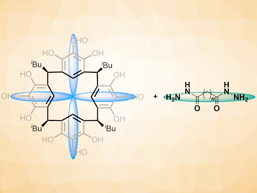 Water-Stable Porous Organic Cages