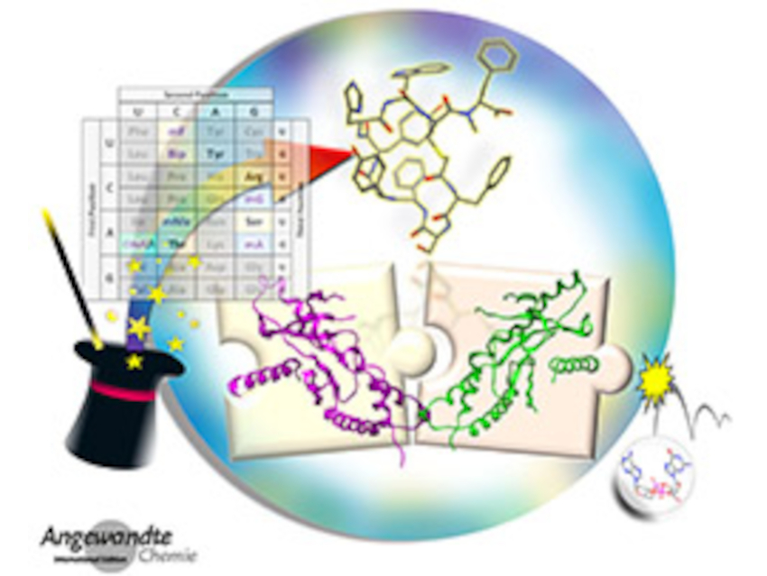 Angewandte Chemie 42/2021: Growth