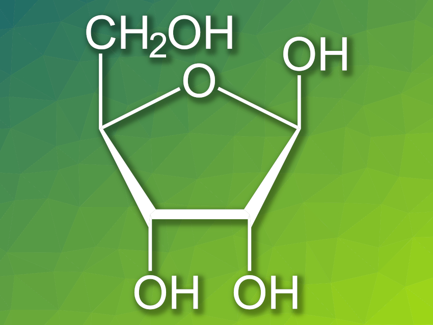 How Was Ribose Selected as the Sugar in RNA?