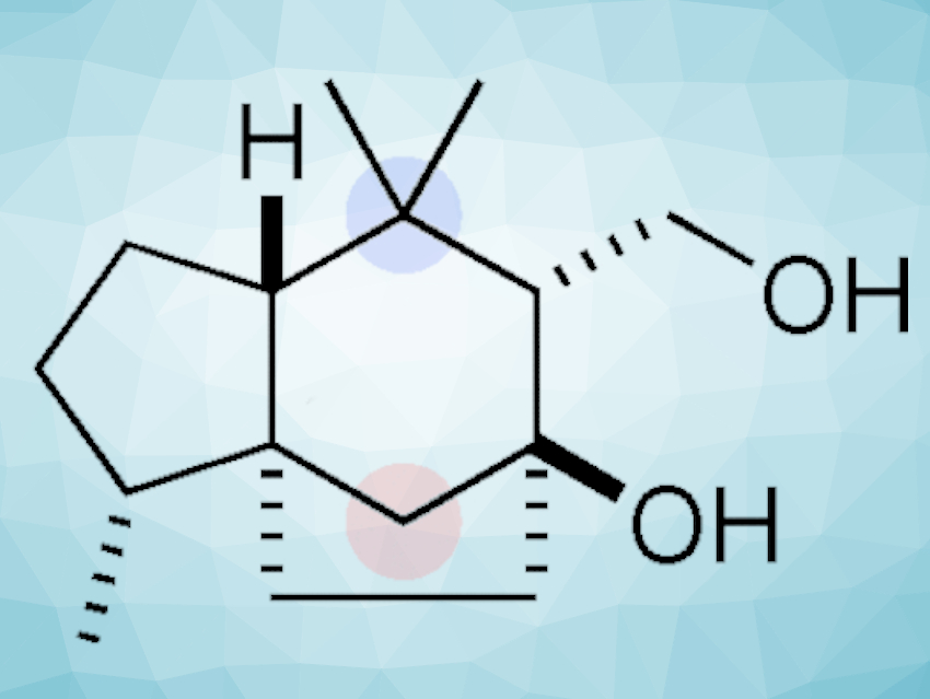 Total Synthesis of Agarozizanol B