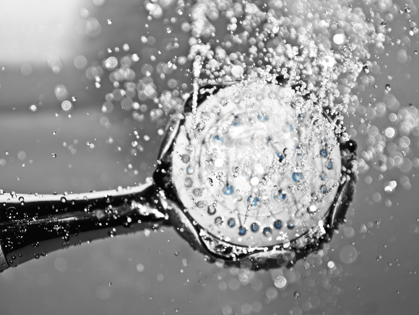 Hidden Microbes Residing in Showerheads