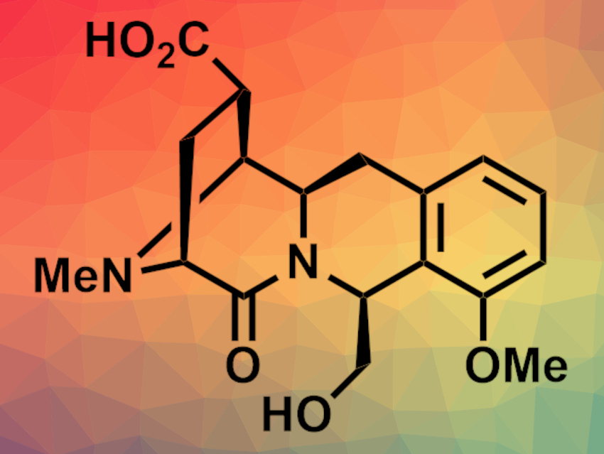 First Asymmetric Total Synthesis of (+)-Quinocarcinamide