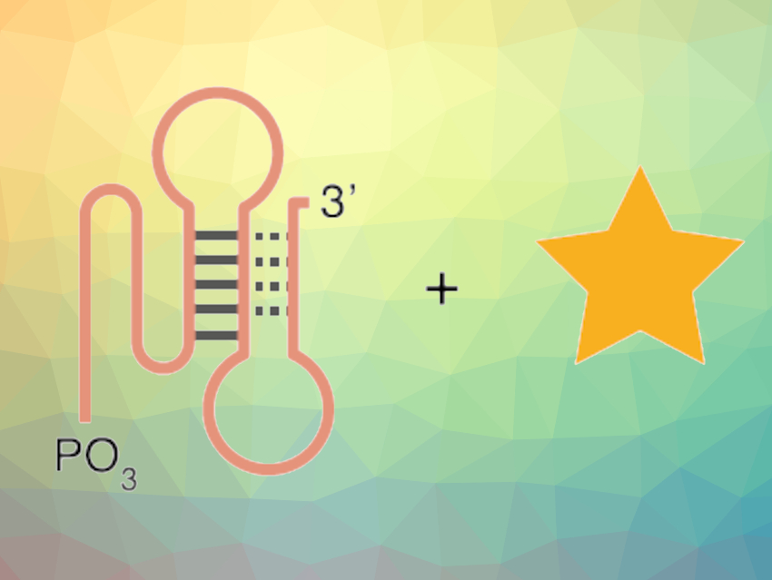 Deoxyribozyme Catalyzes a Chemiluminescent Reaction