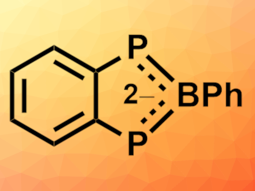 Benzodiphosphaborolediide Synthesized