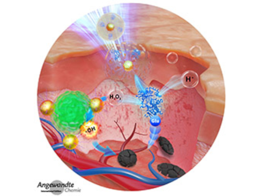 Angewandte Chemie 44/2021: Breaking Limitations