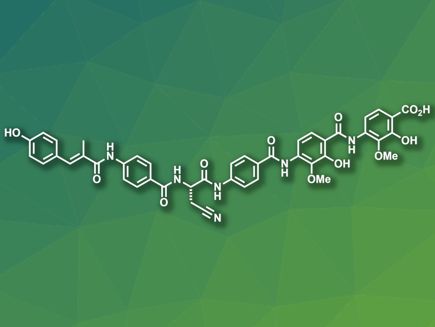 Nitrogen Atoms Improve Properties of Antibacterial Peptide