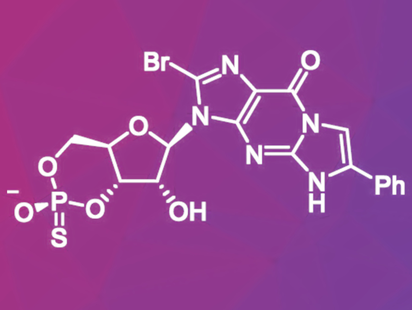 Drug Candidate against Retinal Degeneration